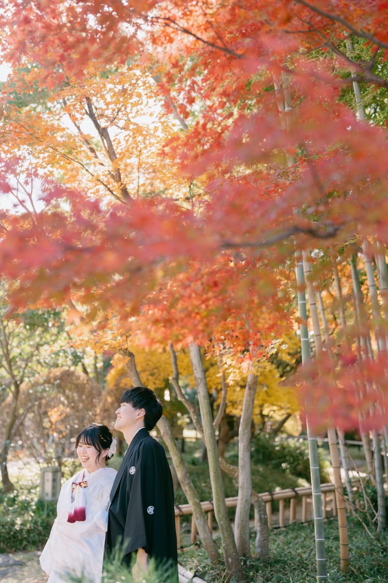 紅葉に包まれて、ふたり見上げる空