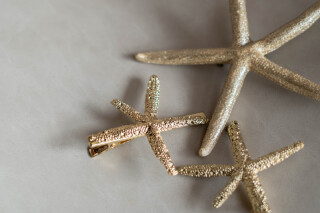 ヘッドパーツ（ヒトデ）