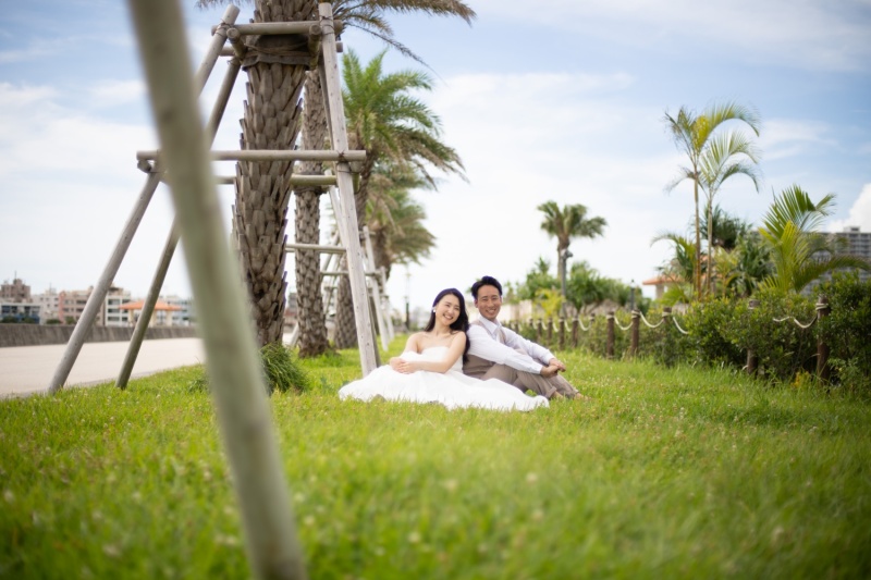 移動してヤシの木と一緒に