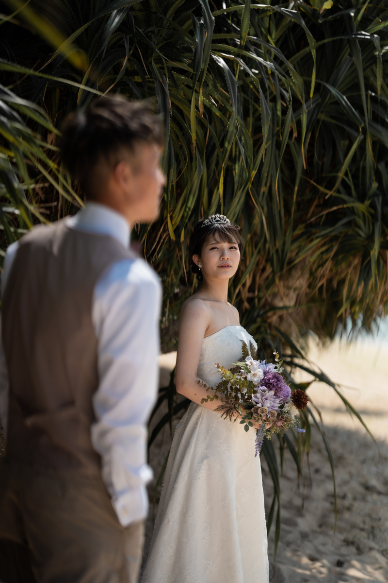 沖縄らしい風景で