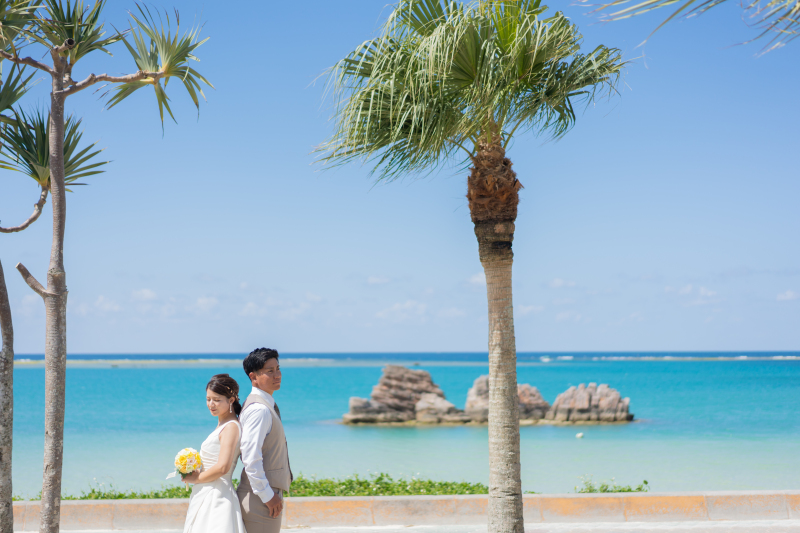 ヤシの木ショットも