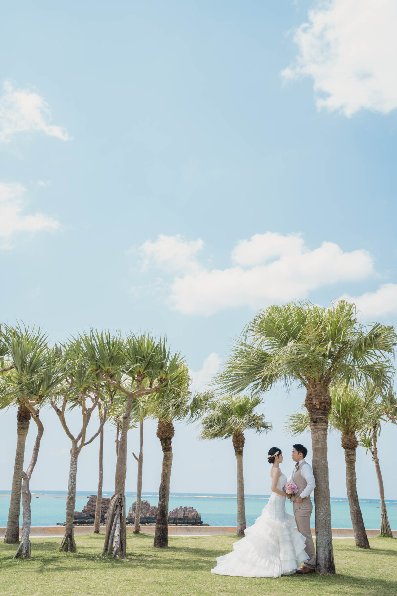 撮影スタート！