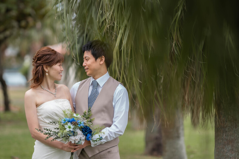 ヤシの木と一緒に