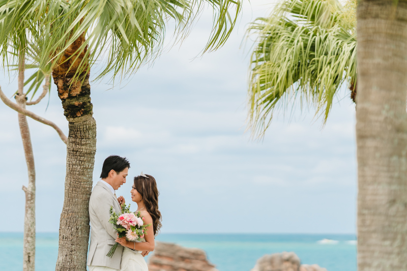 ヤシの木から撮影スタート!