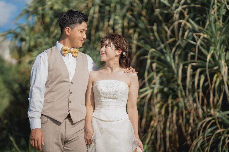 こっちの緑も素敵