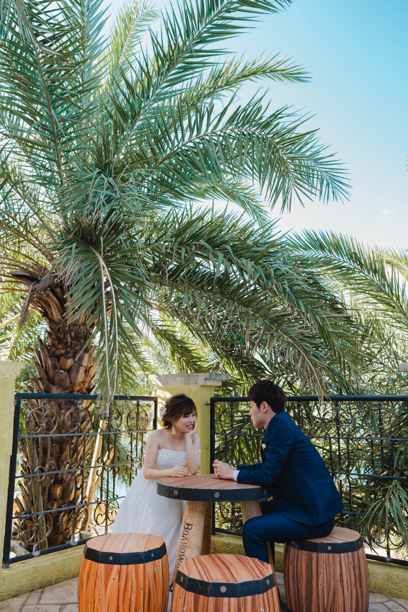 ヤシの木も一緒に