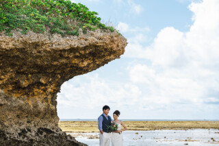 手軽にライトプラン♪