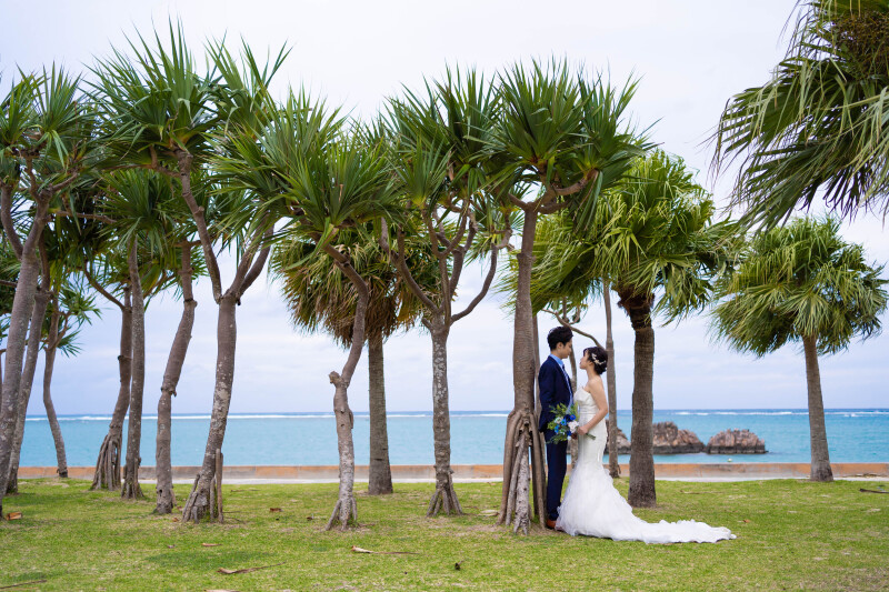 ヤシの木と一緒に