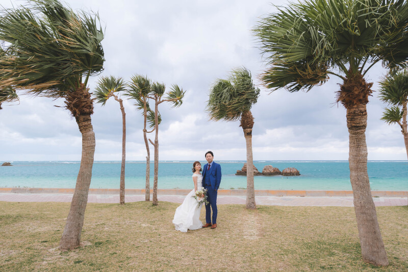 最後はヤシの木スポットで