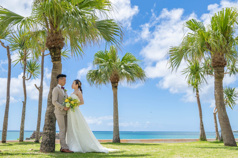 ヤシの木いっぱい!