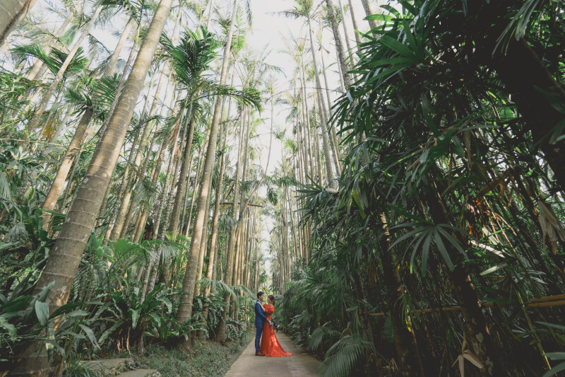 ダイナミックなユスラヤシと一緒に。