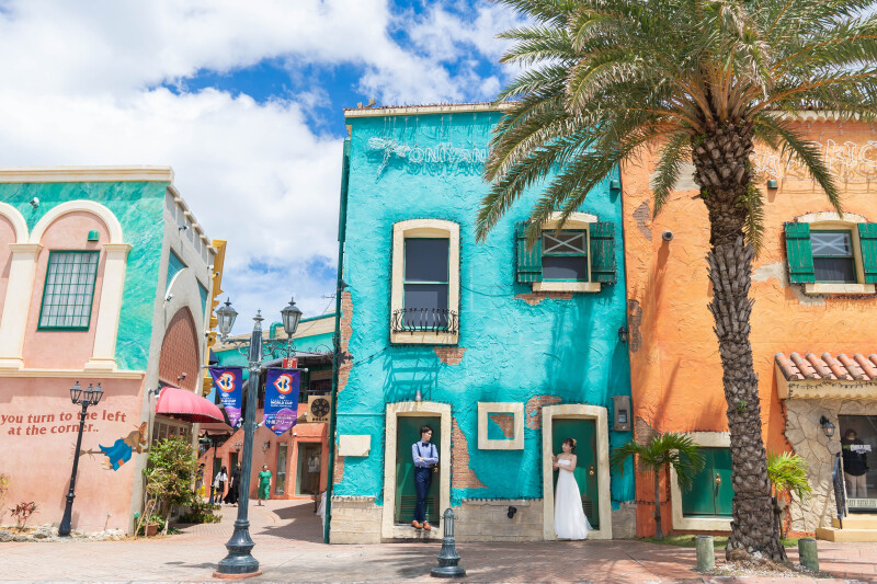 ヤシの木と街並み