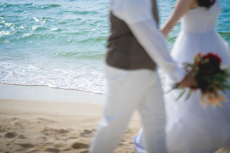 お散歩シーンと波打ち際