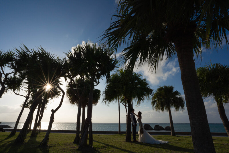 夕方ならではのシルエットヤシの木
