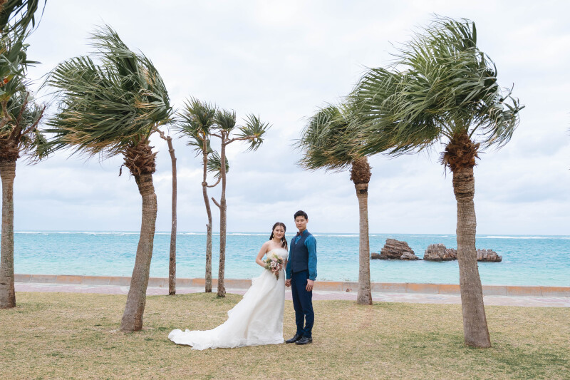 ヤシの木スポット