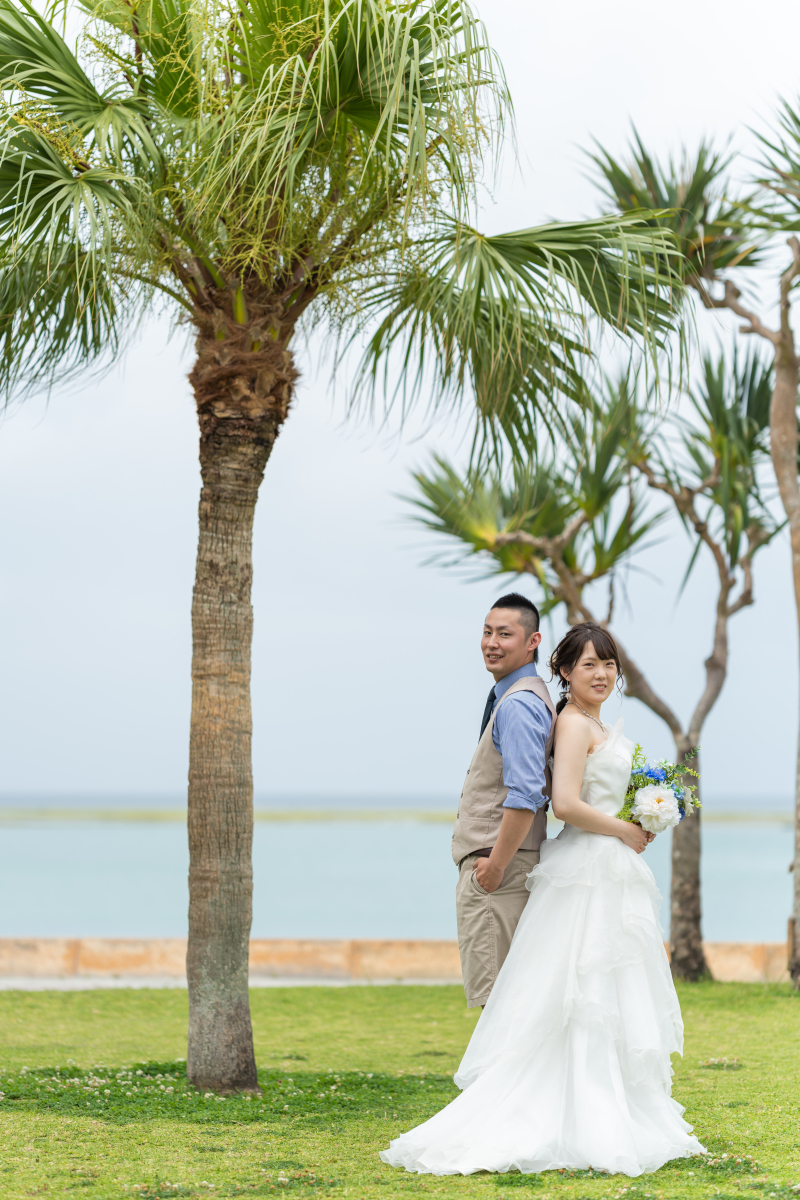 ヤシの木ショット