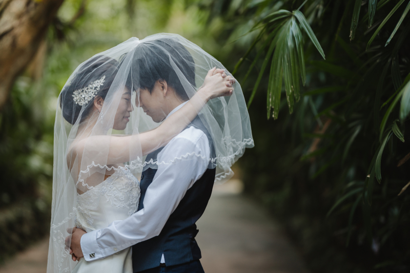 ベールに包まれて