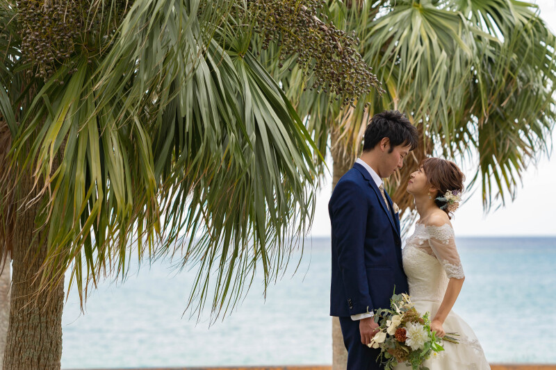 ヤシの木も一緒に