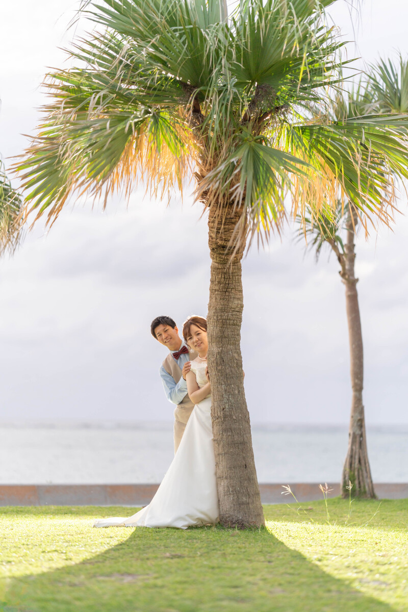 ひょっこりさん