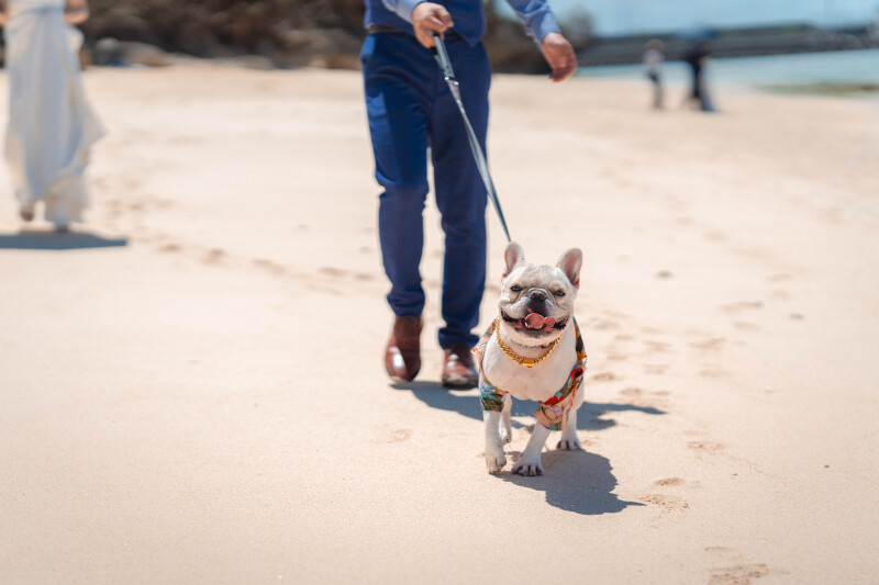 大切な家族と一緒に♡
