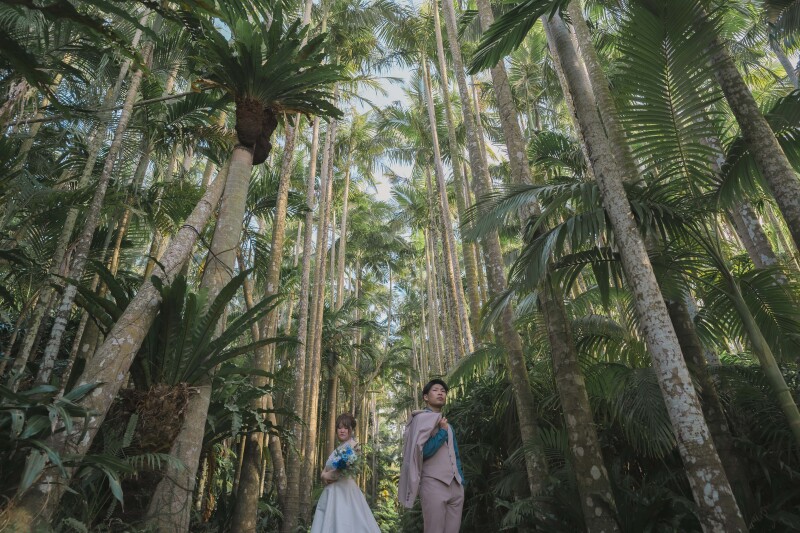 私たちの東南植物楽園おすすめスポット！