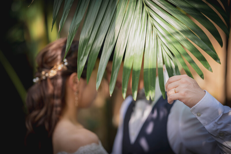 ヤシの葉で・・・