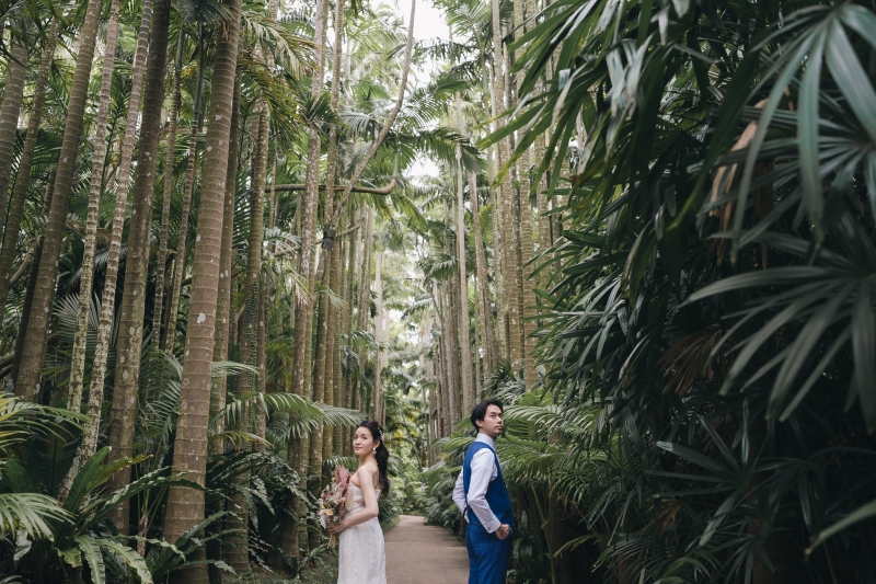 ユスラヤシの並木ロードで