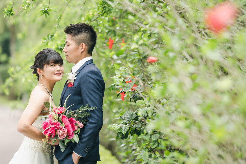 ハイビスカスと一緒に