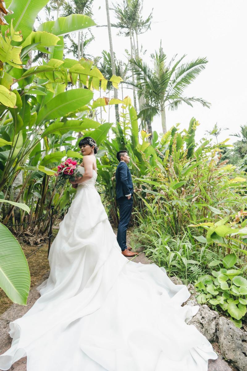 迫力のあるドレスショット