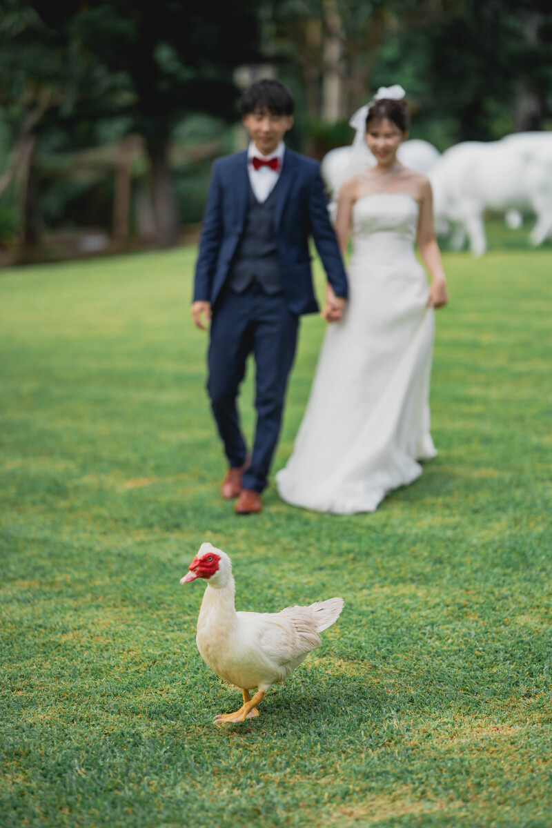 会えたらラッキー？☆