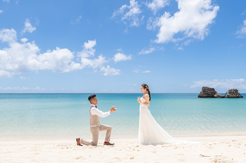 ライトブルーの爽やかな色合い!