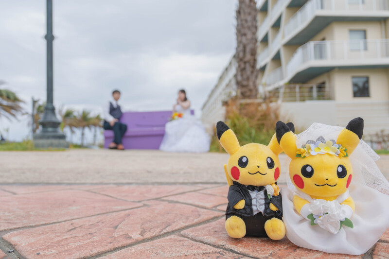 ポケジェニックを求めて・・・