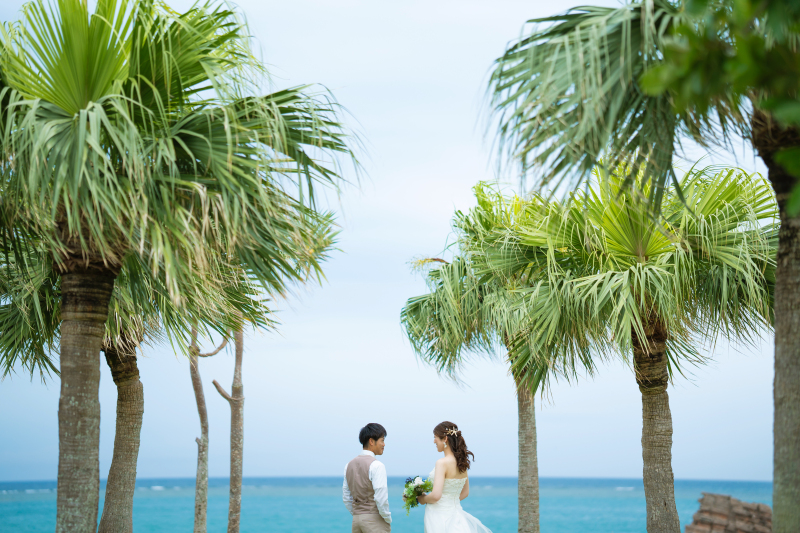 ヤシの木から撮影スタート!