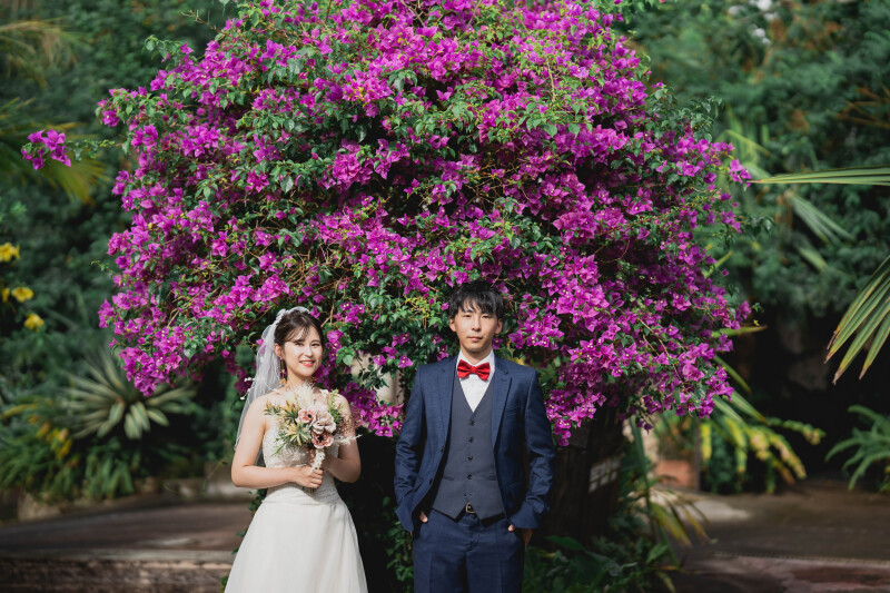 晴れのひの2ロケーション