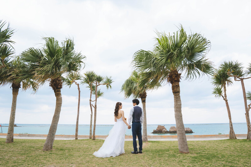 ハッピープランの