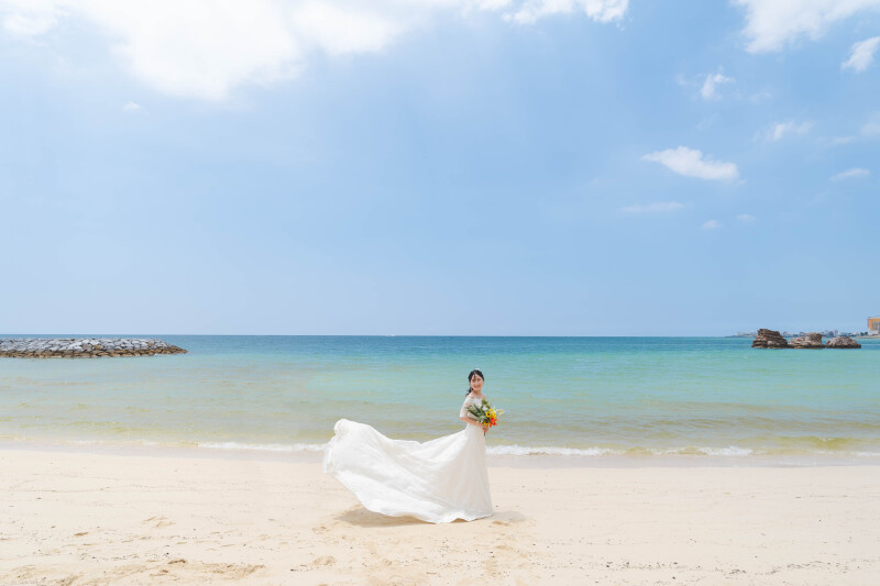 ドレスファッサー