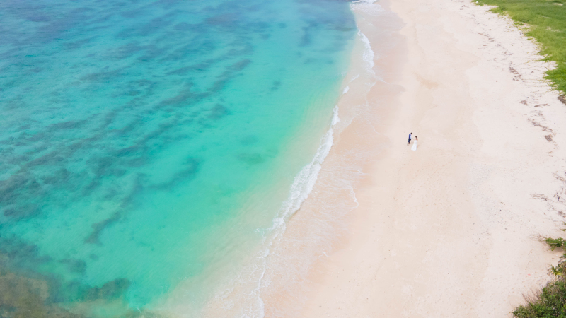 step1 事前来店・お問合せ