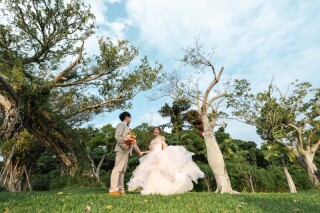 MARC Photo Factory 沖縄(マークフォトファクトリーオキナワ)_東南植物楽園