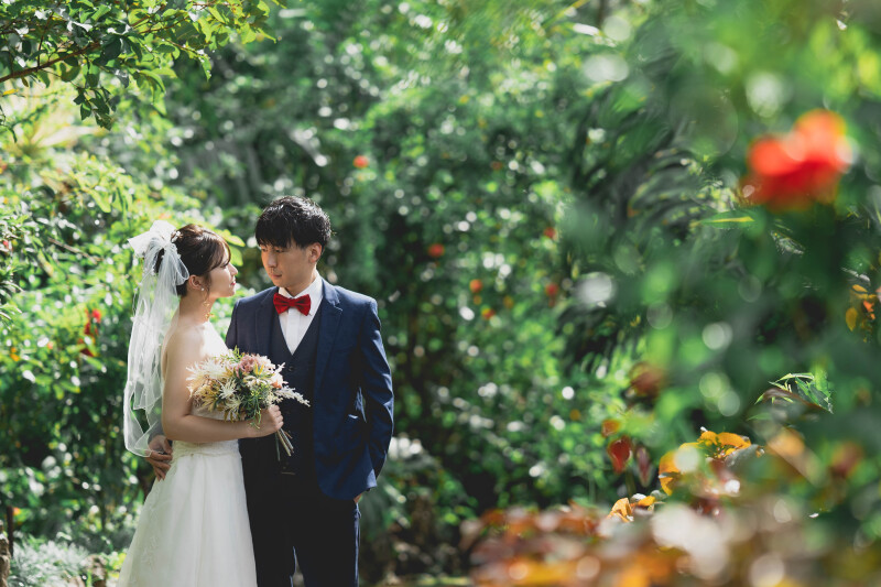 1ロケーションプラン（ 東南植物楽園）格安73,000円☂️雨天日程変更無料／追加料金一切なし