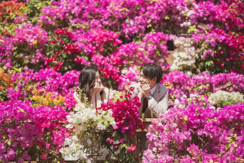 1ロケーションプラン( 東南植物楽園)格安73,000円☂️雨天日程変更無料/追加料金一切なし
