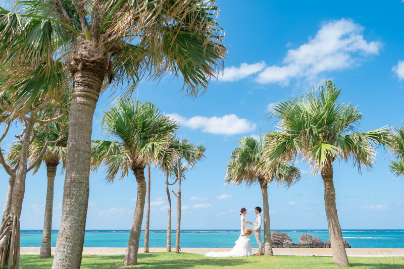 1ロケーションプラン(アラハビーチ/ヤシの木&公園)格安59,000円☂️雨天日程変更無料/追加料金一切なし