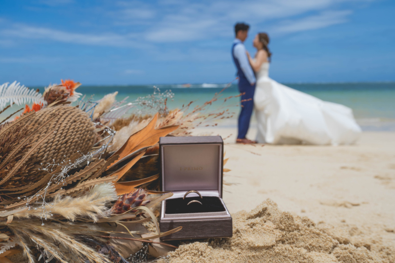 【平日限定】ライトプラン(アラハビーチ/ヤシの木)☂️雨天日程変更無料/追加料金一切なし⚫︎現金支払い限定