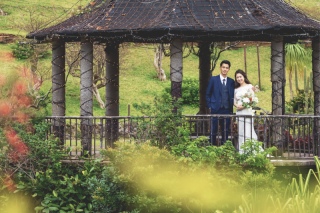 1ロケーションプラン（ 東南植物楽園）格安73,000円☂️雨天日程変更無料／追加料金一切なし