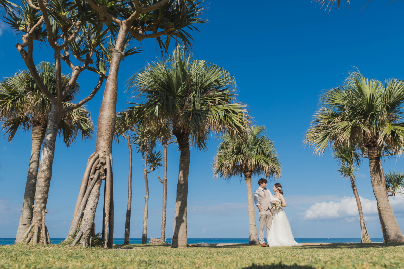 【11月12月平日撮影限定】クリスマスプレゼント プラン(アラハビーチ)通用より15000円も安い⇨ 激安 44,000円 !!