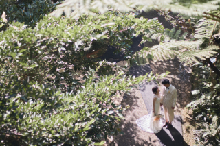 ジャングル散歩デート