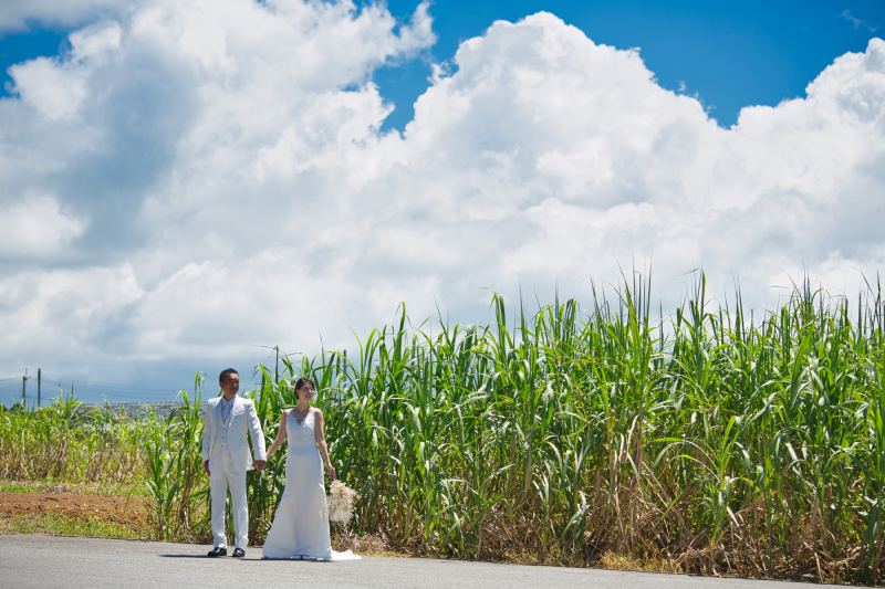 ウージ畑の前で