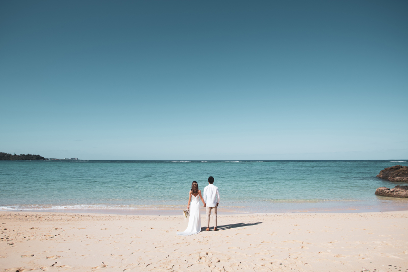 12月半ばですが