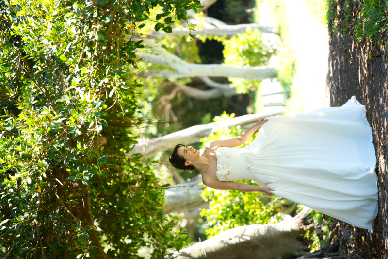 木陰の中を颯爽と