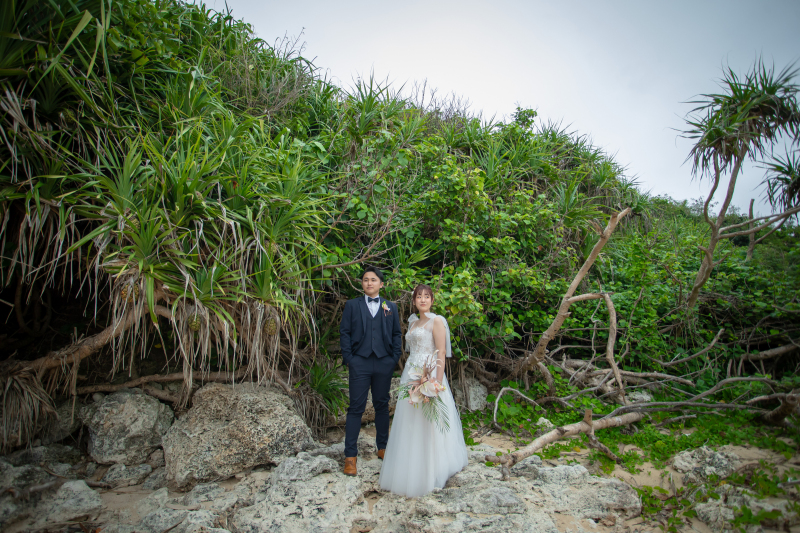 風景を活用して