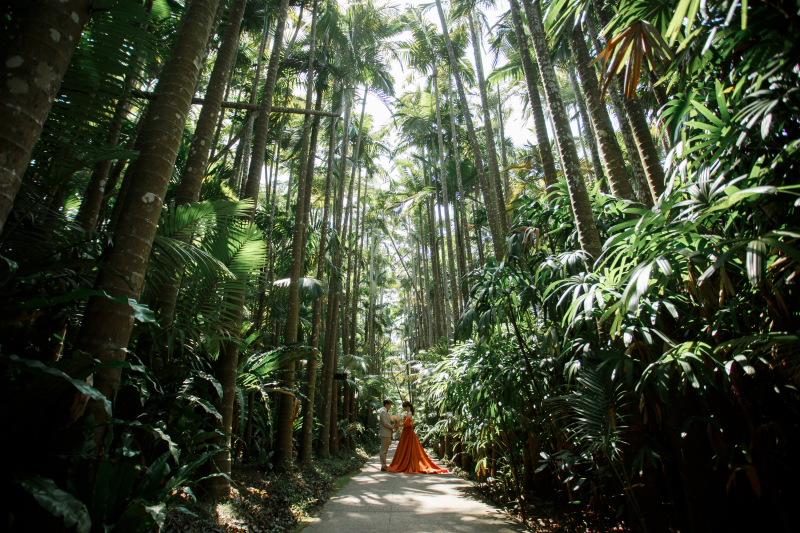緑に包まれた小道